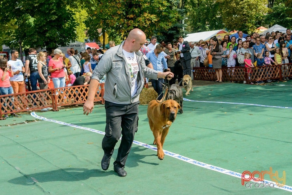 Expoziţie canină, Oradea