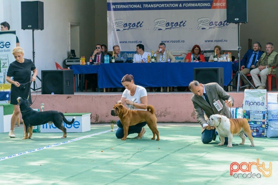 Expoziţie canină, Oradea