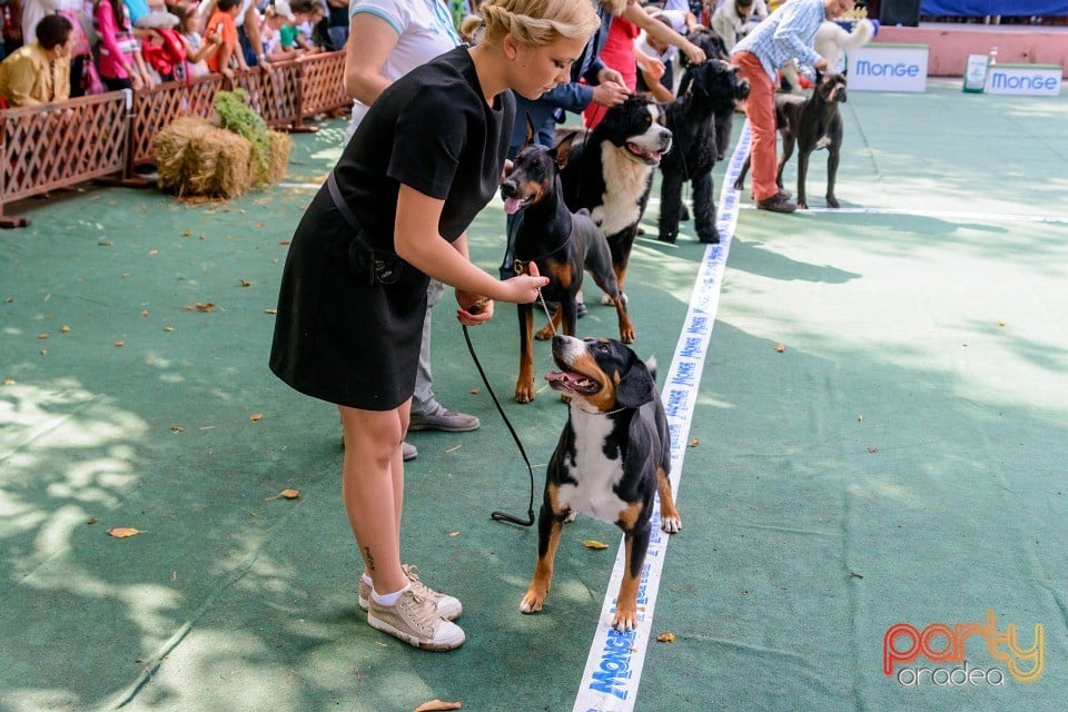 Expoziţie canină, Oradea