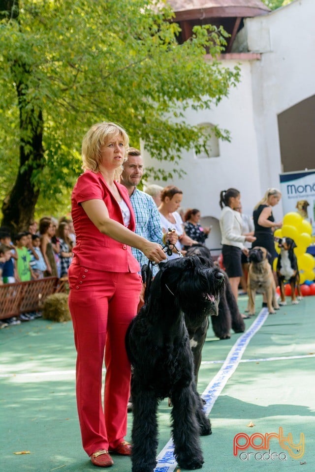 Expoziţie canină, Oradea