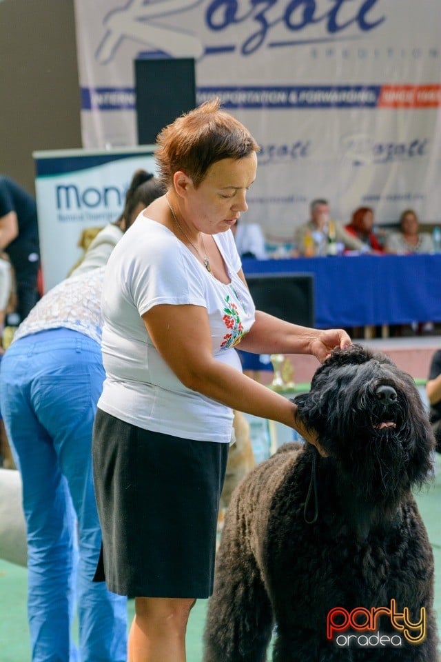 Expoziţie canină, Oradea