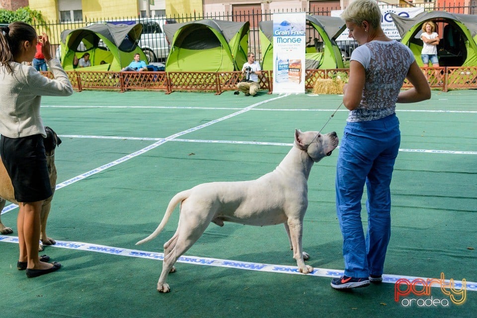 Expoziţie canină, Oradea