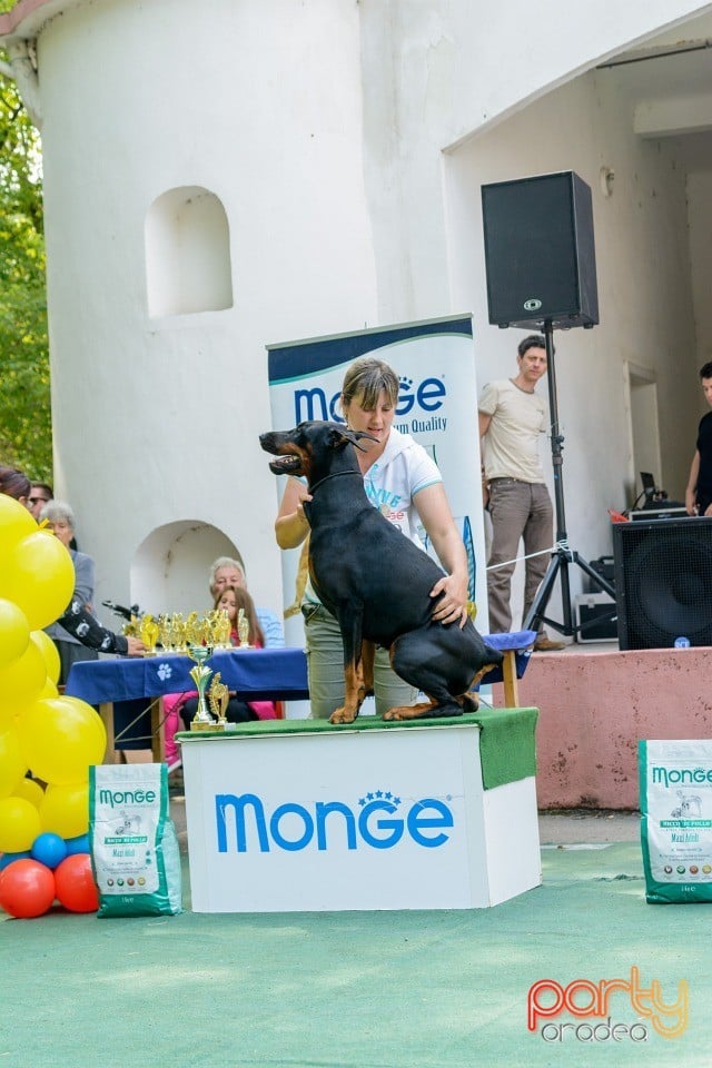 Expoziţie canină, Oradea