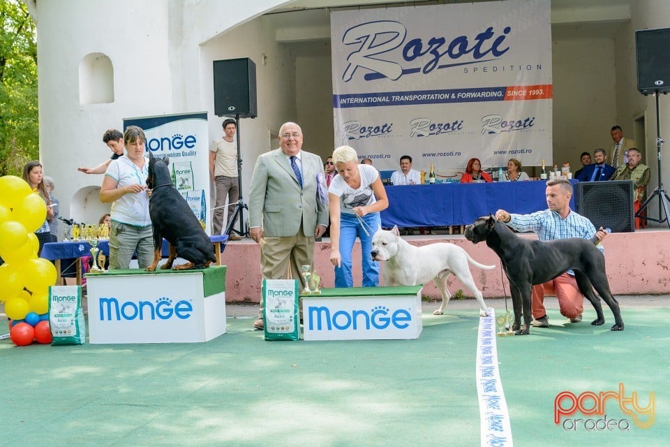 Expoziţie canină, Oradea