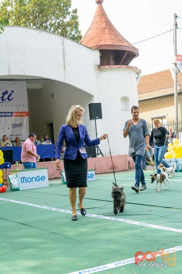 Expoziţie canină, Oradea