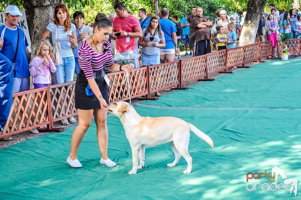 Expozitie canina, Oradea