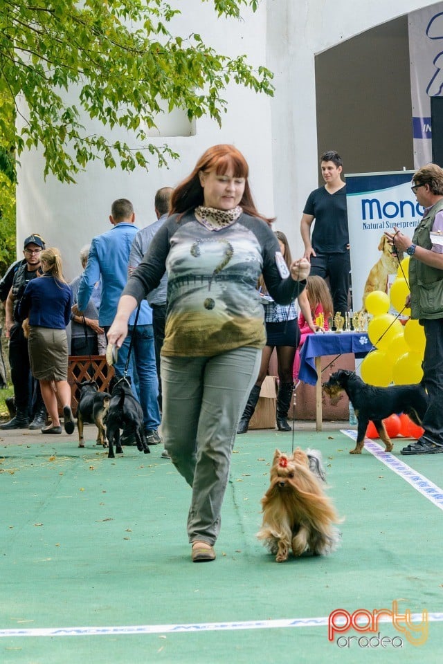 Expoziţie canină, Oradea