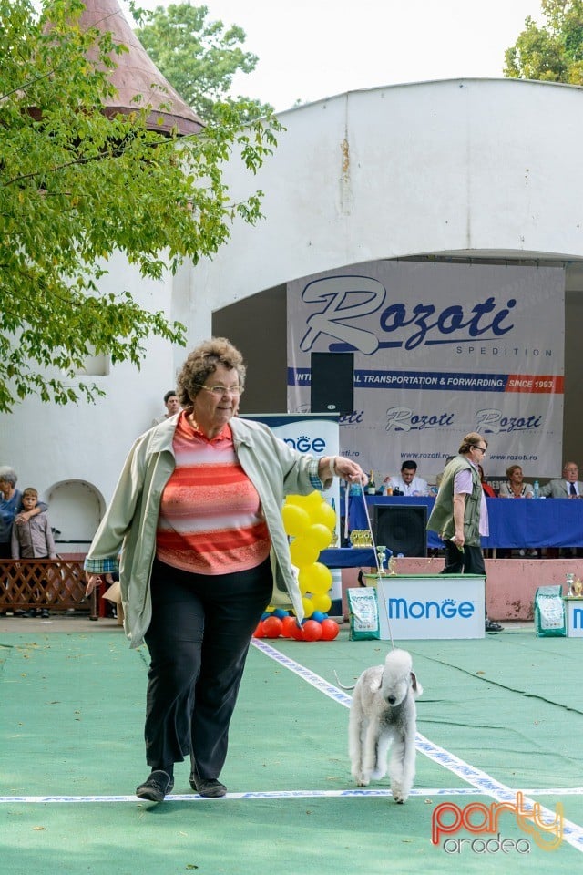 Expoziţie canină, Oradea