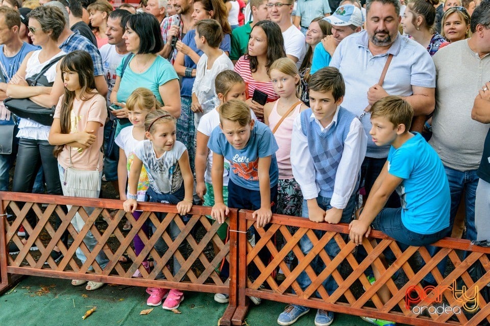 Expoziţie canină, Oradea