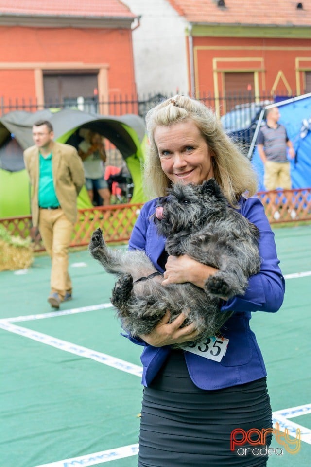 Expoziţie canină, Oradea