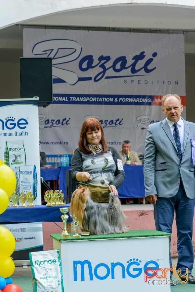 Expoziţie canină, Oradea