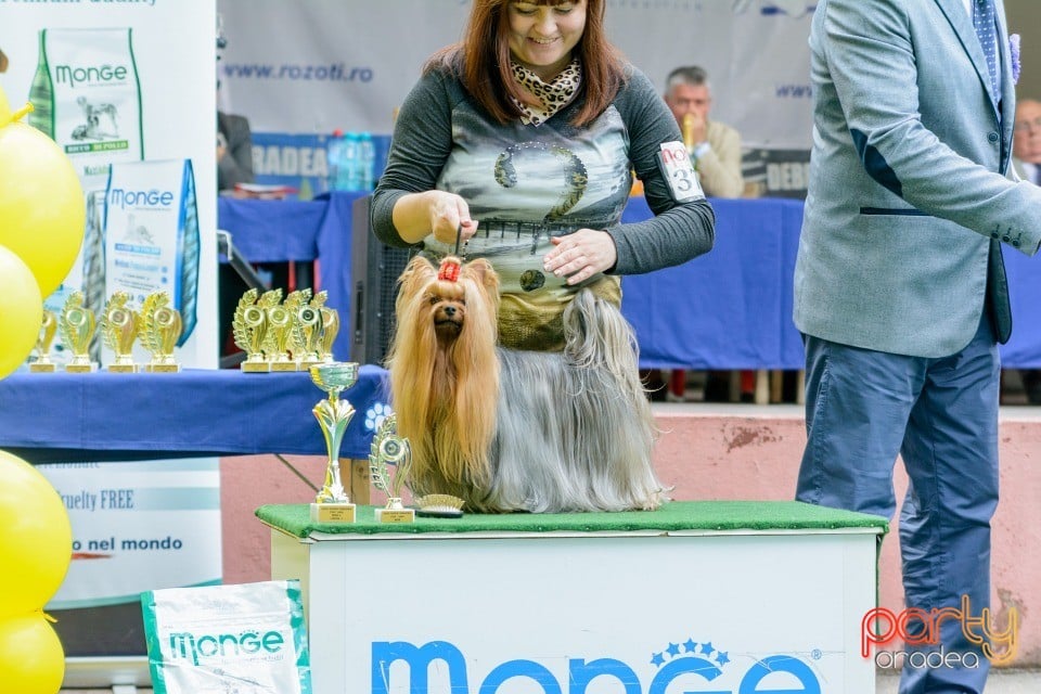 Expoziţie canină, Oradea