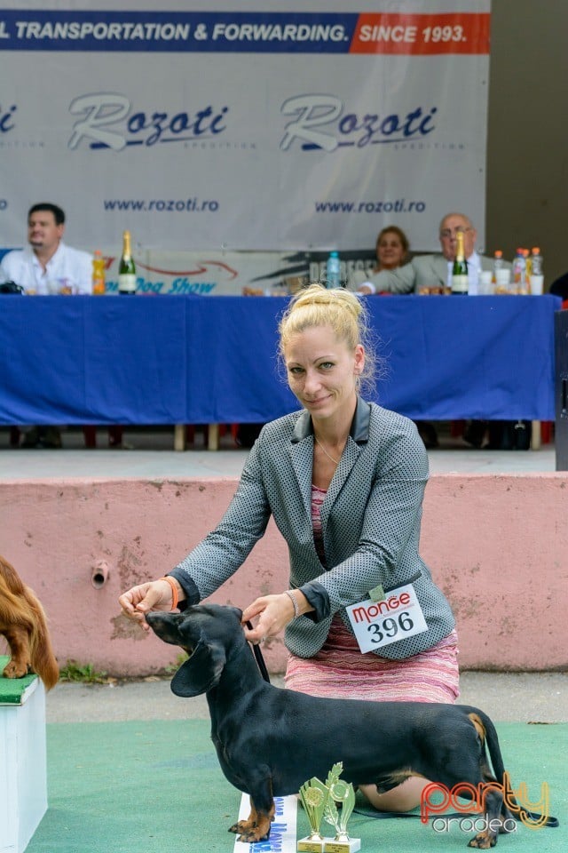 Expoziţie canină, Oradea