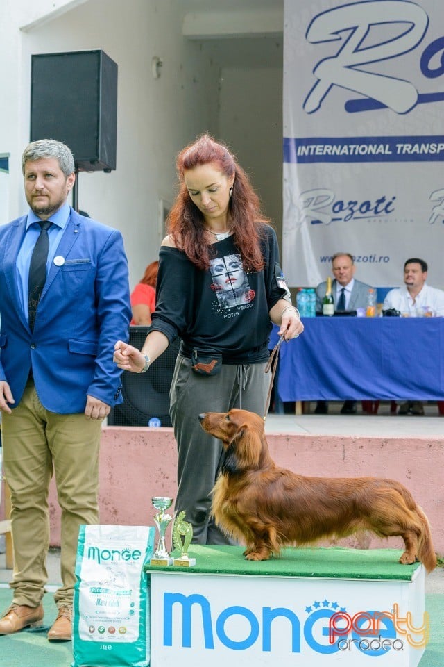 Expoziţie canină, Oradea