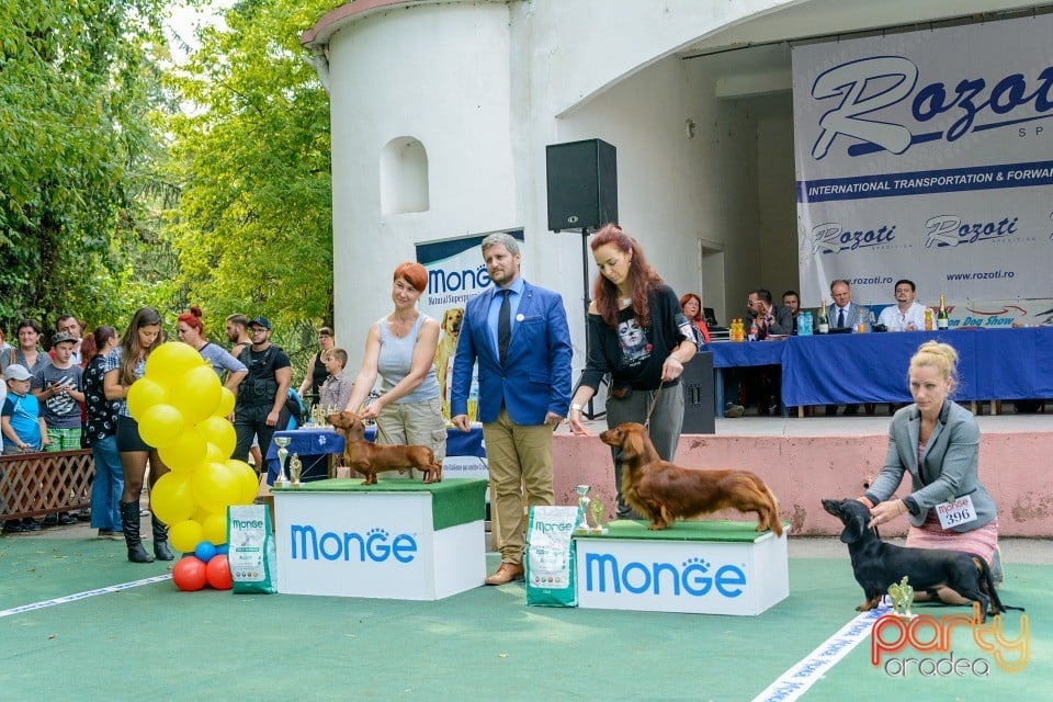 Expoziţie canină, Oradea