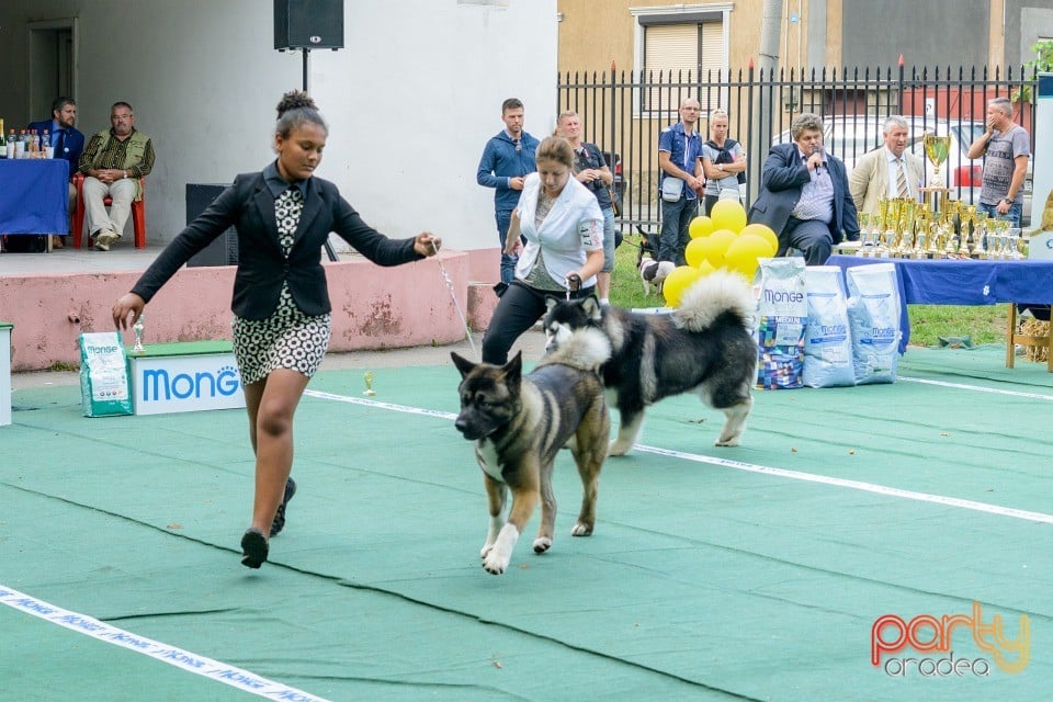 Expoziţie canină, Oradea