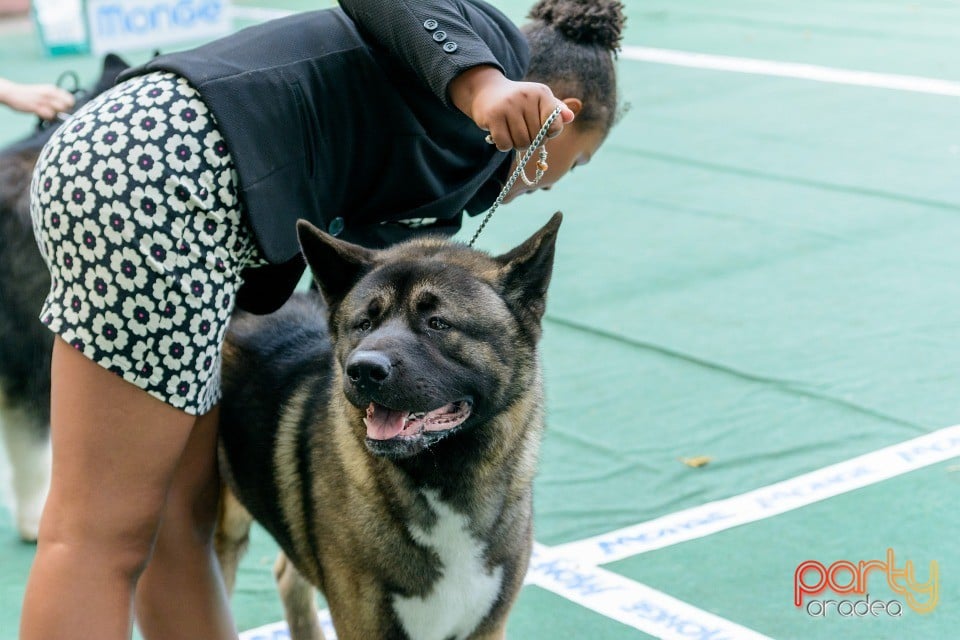 Expoziţie canină, Oradea