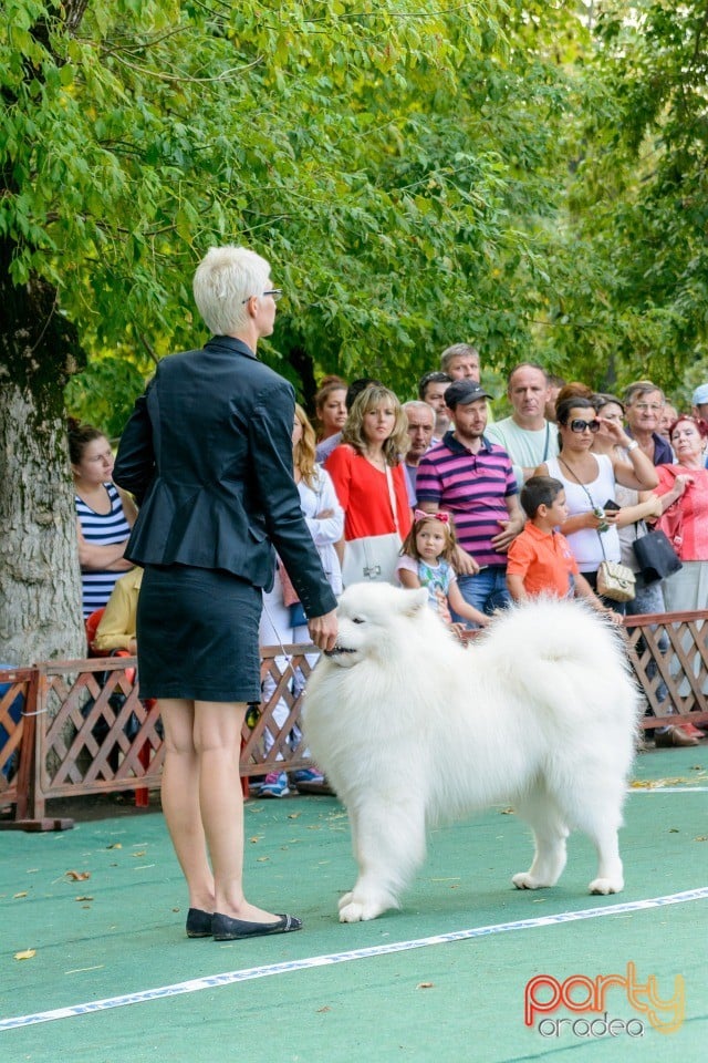 Expoziţie canină, Oradea