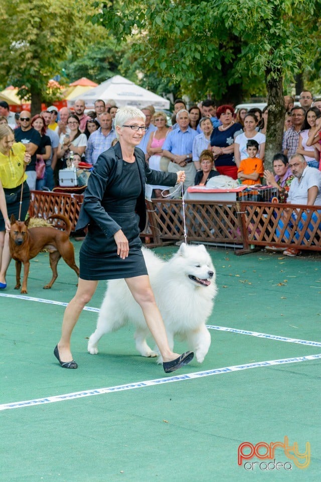 Expoziţie canină, Oradea