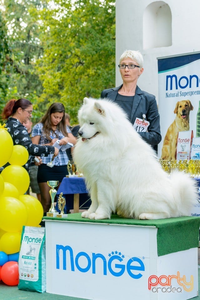 Expoziţie canină, Oradea