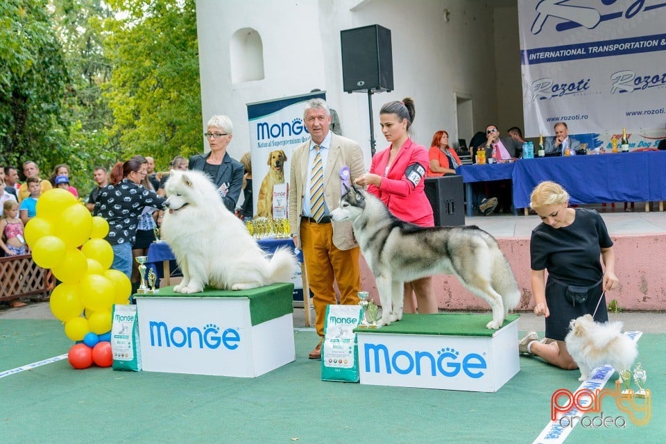 Expoziţie canină, Oradea