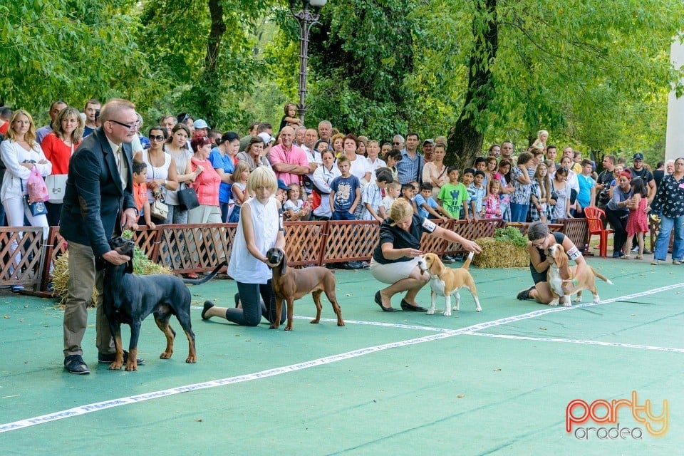 Expoziţie canină, Oradea