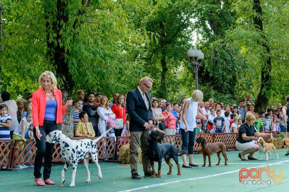 Expoziţie canină, Oradea