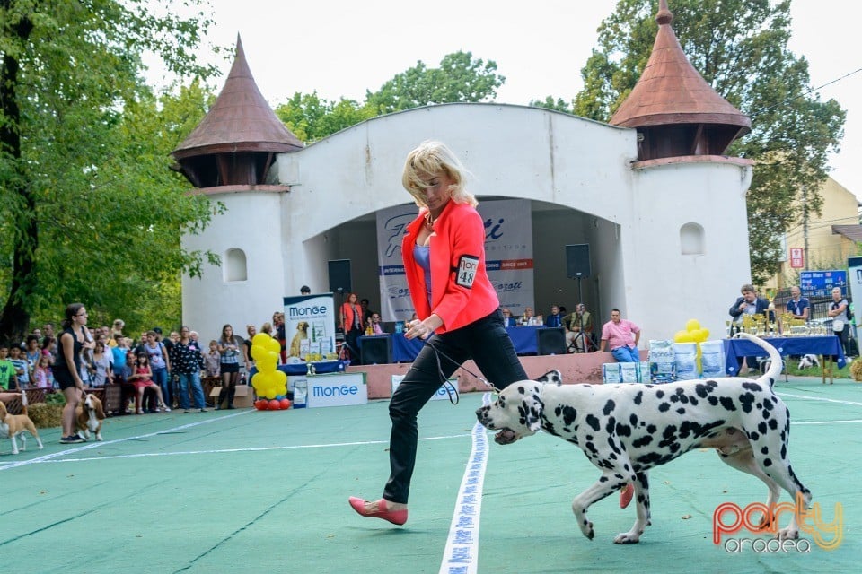 Expoziţie canină, Oradea