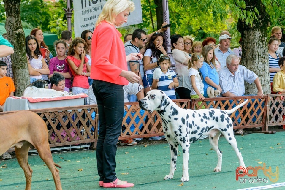 Expoziţie canină, Oradea