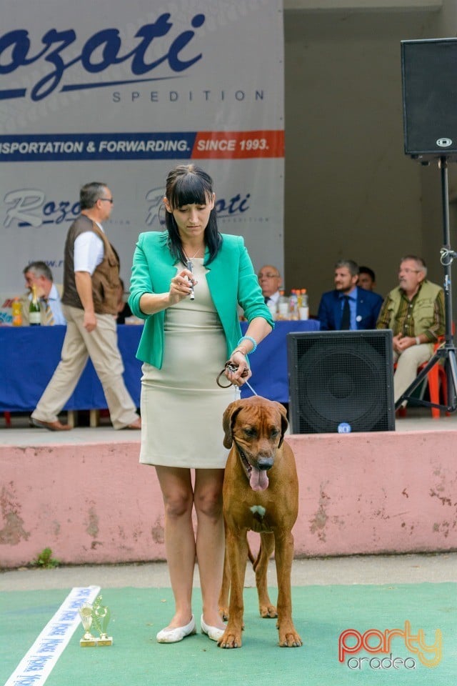 Expoziţie canină, Oradea