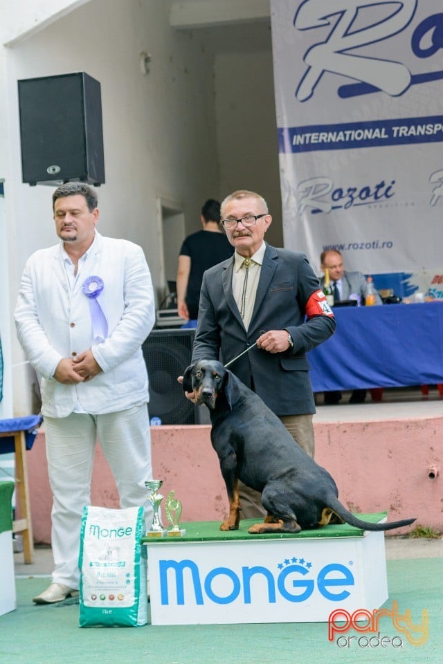 Expoziţie canină, Oradea