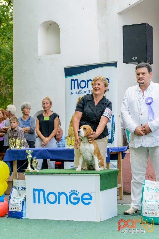 Expoziţie canină, Oradea