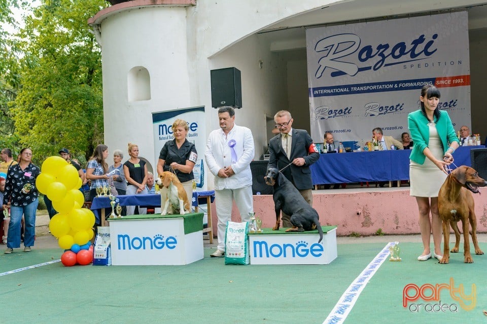 Expoziţie canină, Oradea