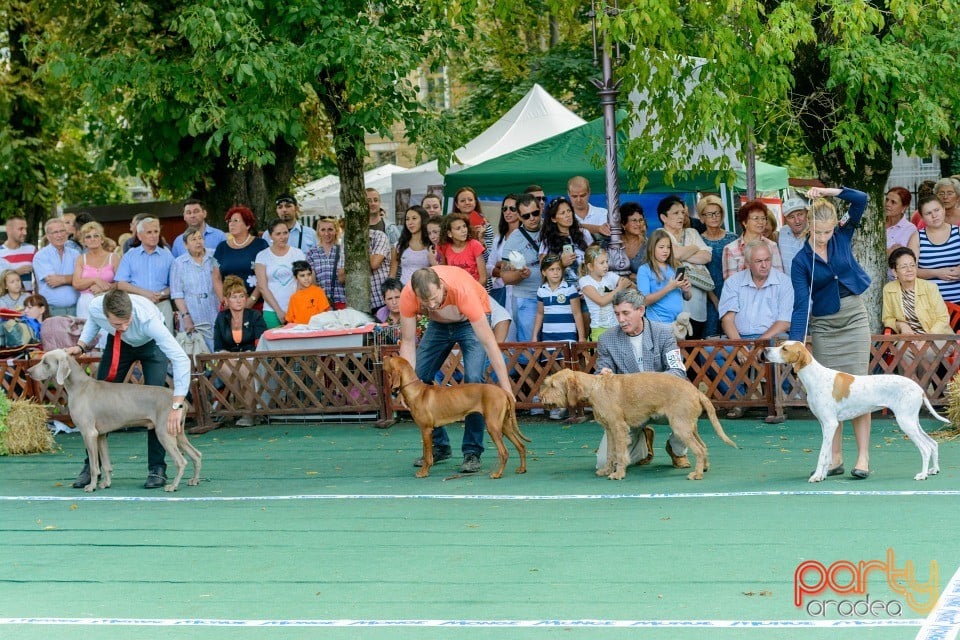 Expoziţie canină, Oradea