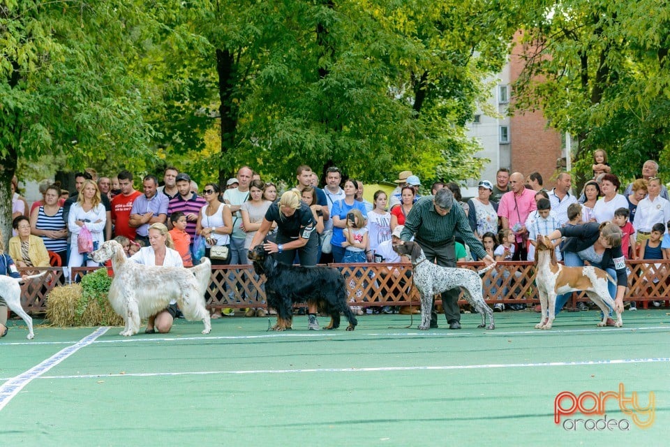 Expoziţie canină, Oradea