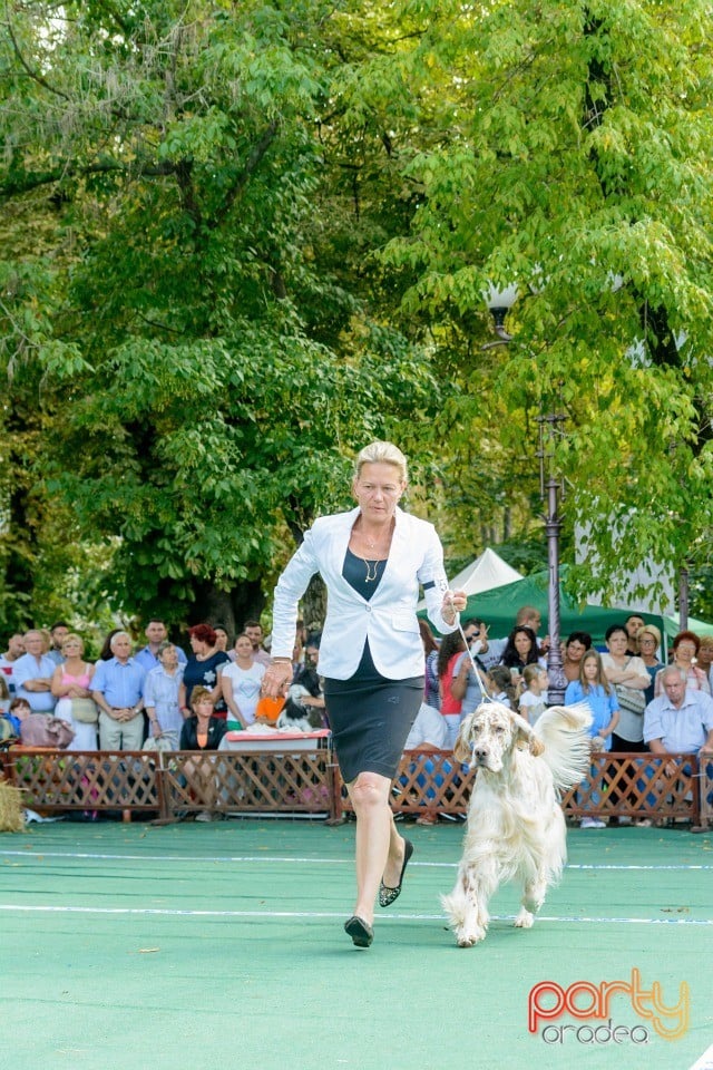 Expoziţie canină, Oradea