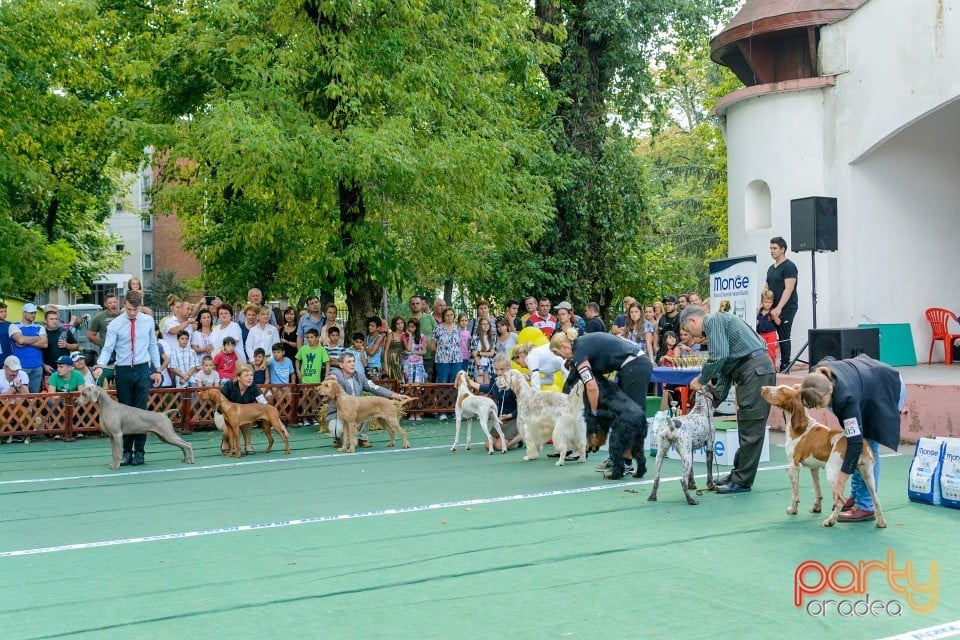 Expoziţie canină, Oradea