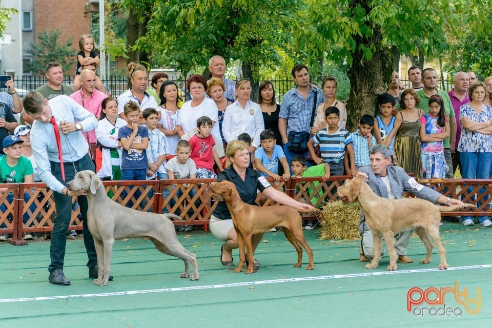 Expoziţie canină, Oradea