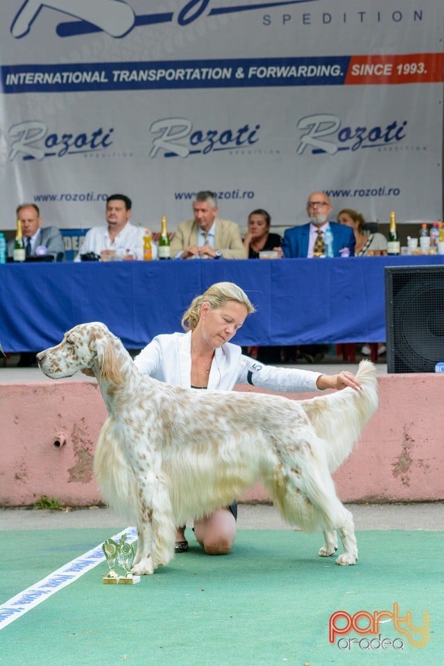 Expoziţie canină, Oradea