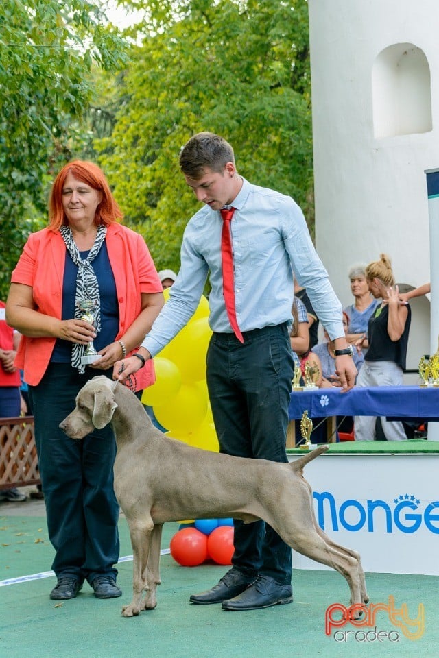 Expoziţie canină, Oradea