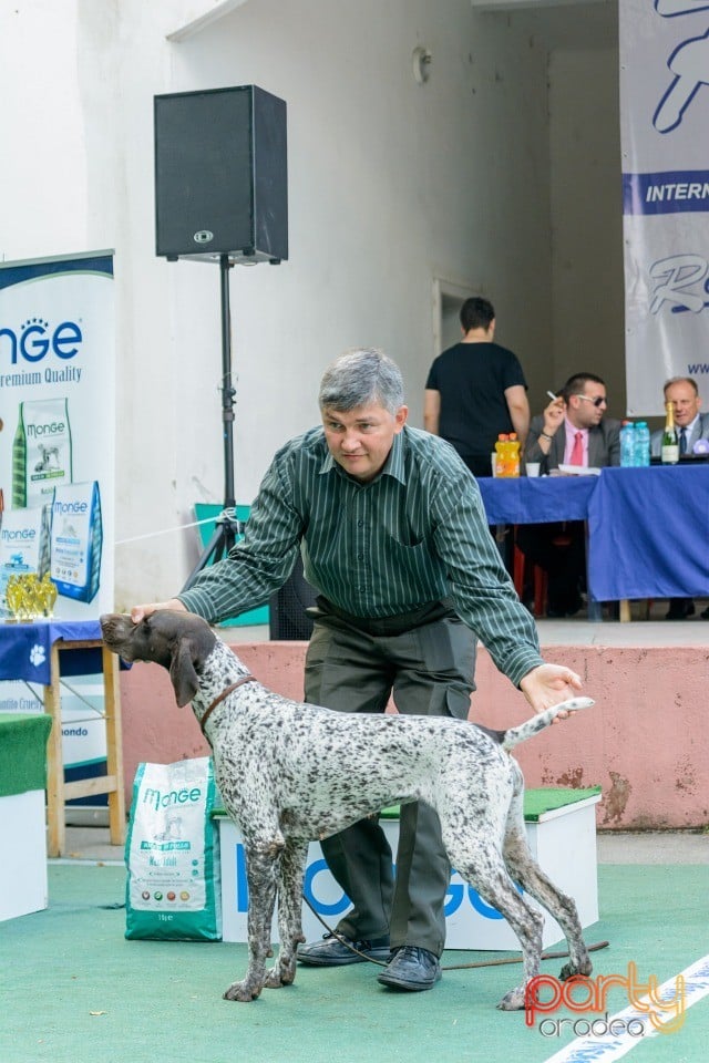 Expoziţie canină, Oradea