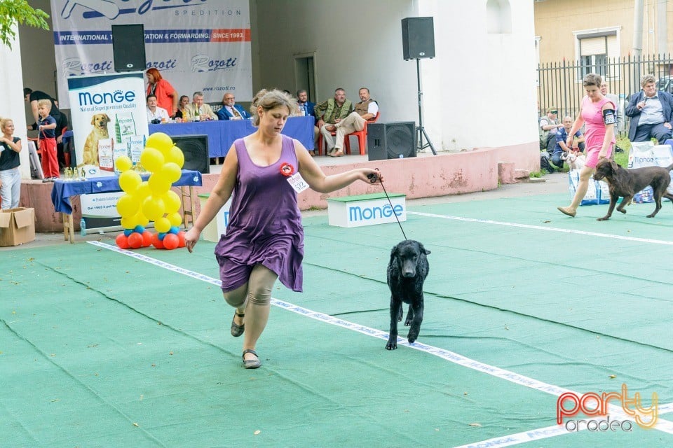 Expoziţie canină, Oradea