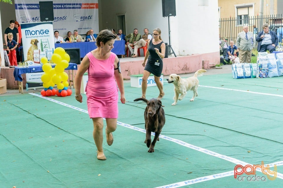 Expoziţie canină, Oradea