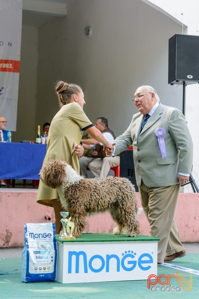 Expoziţie canină, Oradea