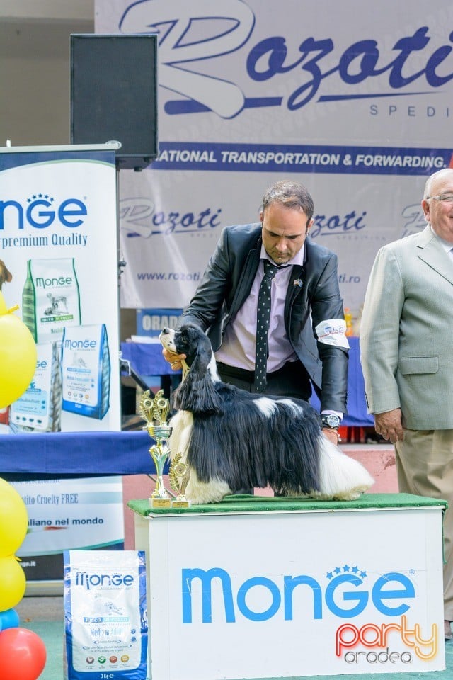 Expoziţie canină, Oradea