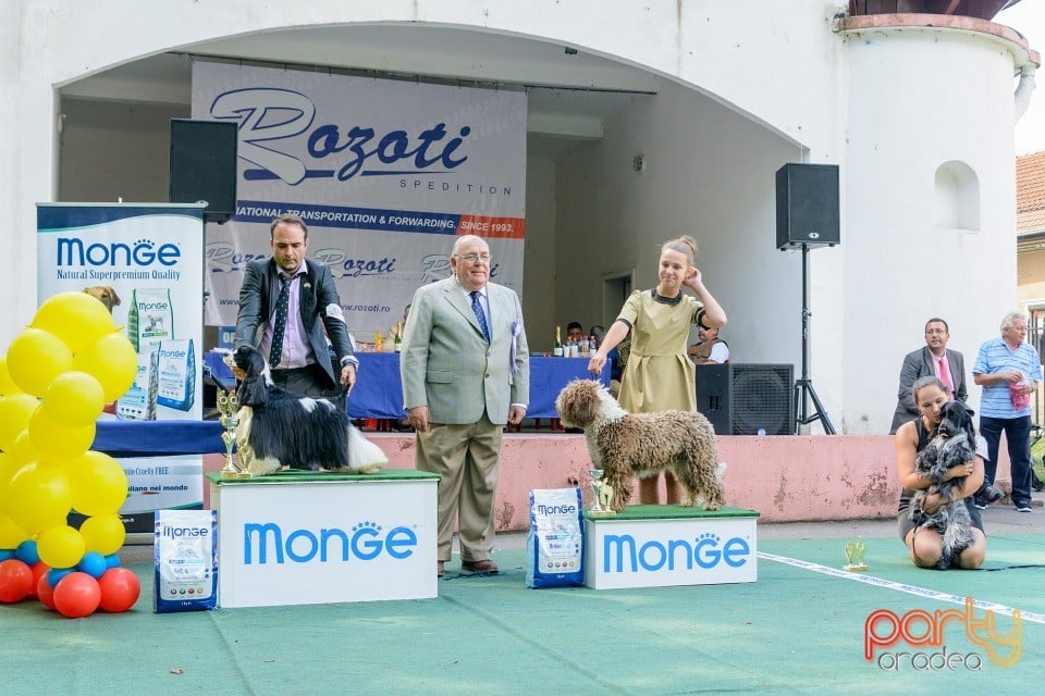 Expoziţie canină, Oradea