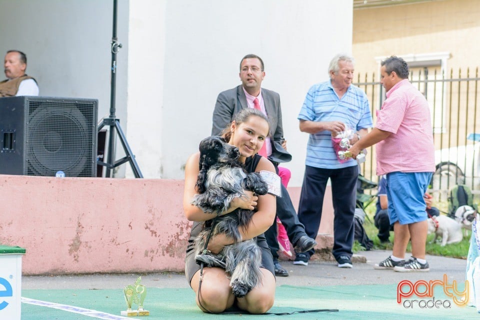 Expoziţie canină, Oradea