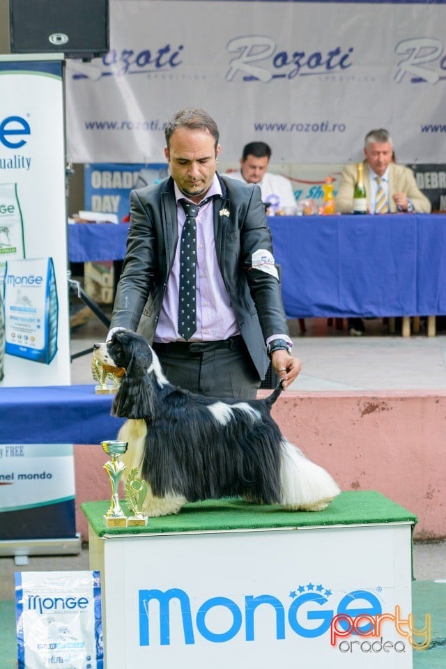 Expoziţie canină, Oradea