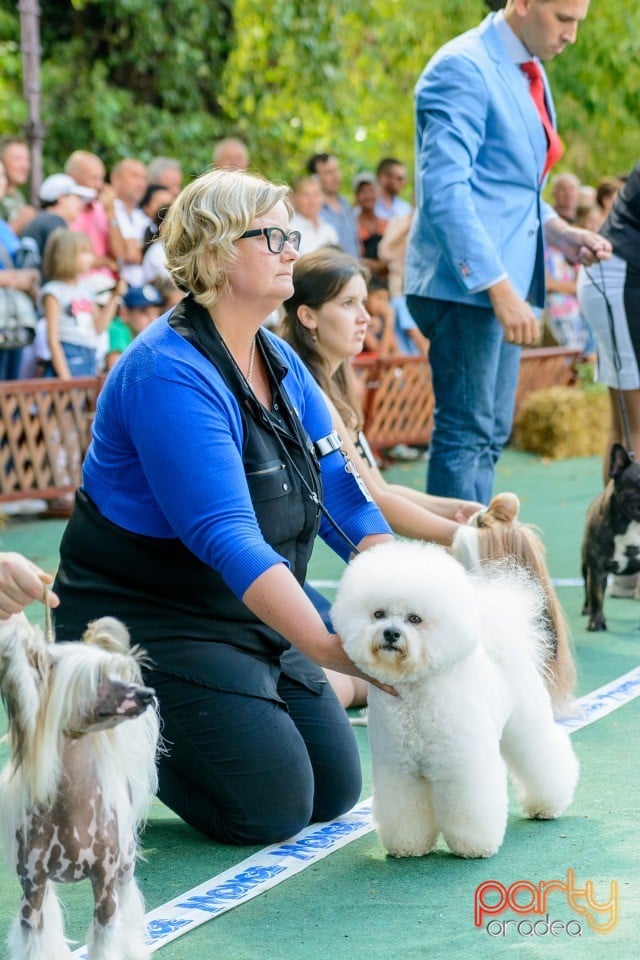 Expoziţie canină, Oradea