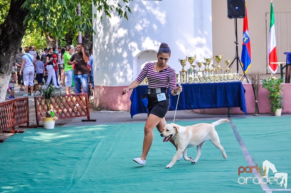 Expozitie canina, Oradea